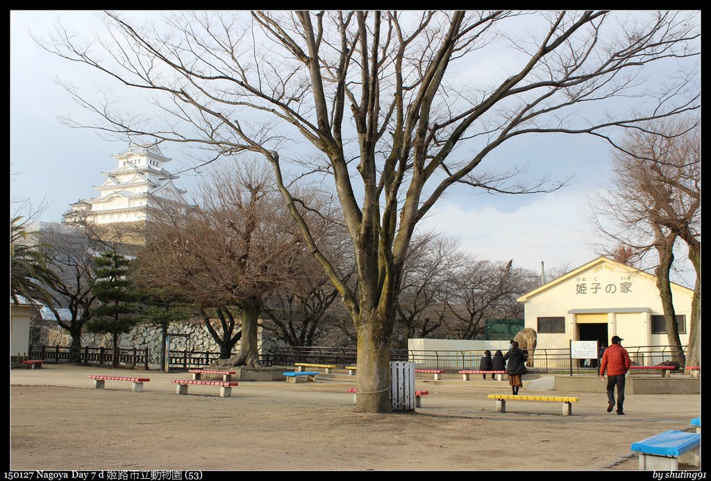 150127 Nagoya Day 7 d 姬路市立動物園 (53).jpg