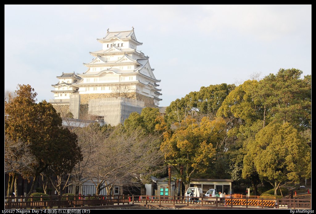 150127 Nagoya Day 7 d 姬路市立動物園 (87).jpg