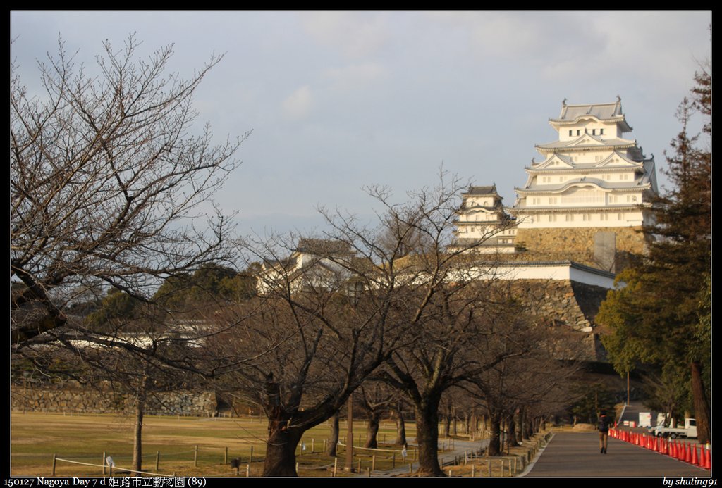 150127 Nagoya Day 7 d 姬路市立動物園 (89).jpg