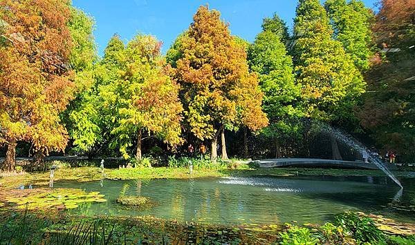 20211205_104258 a.jpg