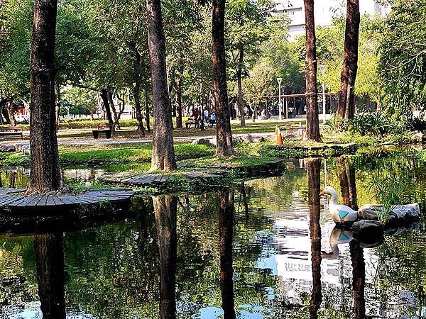 高雄都會版的「忘憂森林」~~大東濕地公園