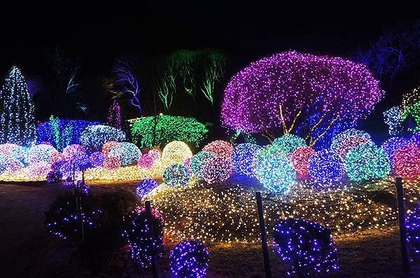 首爾近郊一日遊：「小法國村」、「南怡島」、夜遊「晨靜樹木園」