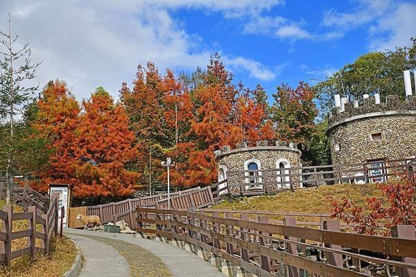 冬之繽紛~~漫步在清境「天空步道」、「青青草原」