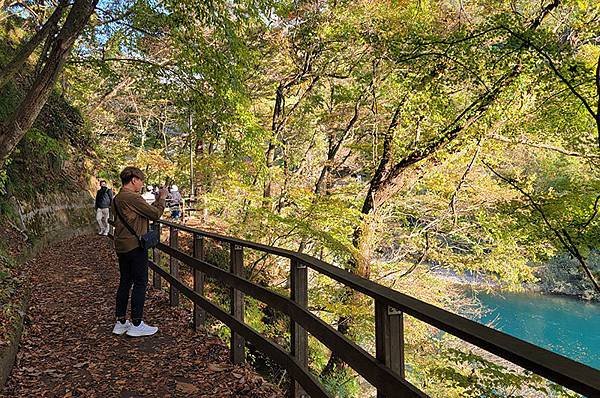 秋日紅葉季抱返溪谷健行