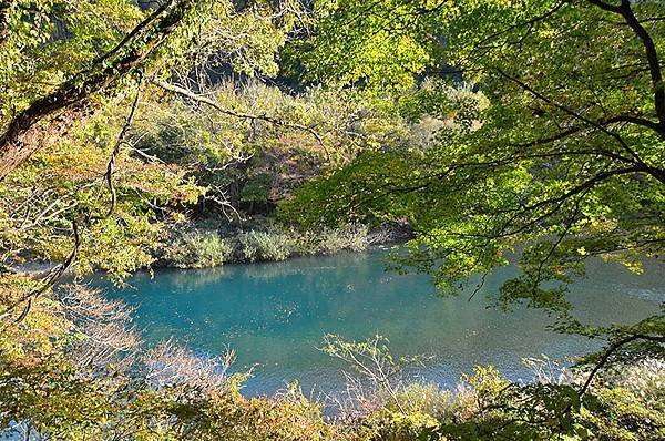 秋日紅葉季抱返溪谷健行