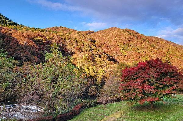 秋日紅葉季抱返溪谷健行