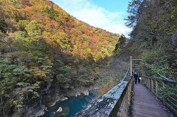 秋日紅葉季抱返溪谷健行