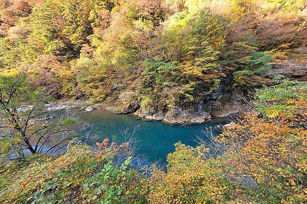 秋日紅葉季抱返溪谷健行