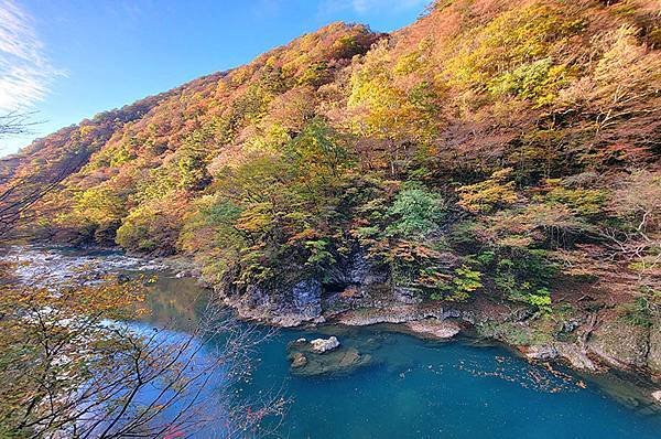 秋日紅葉季抱返溪谷健行