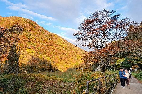 秋日紅葉季抱返溪谷健行