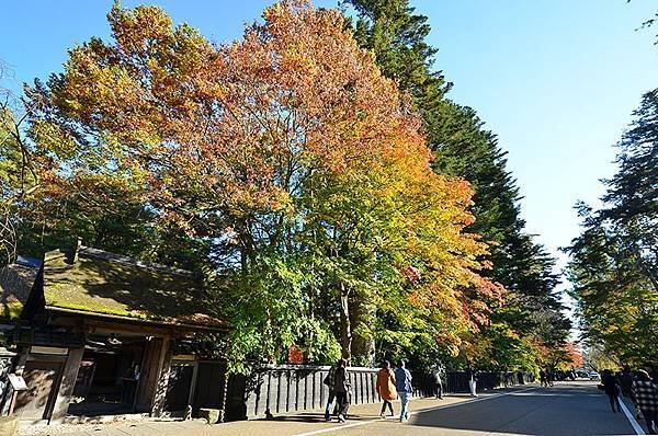 秋日紅葉季抱返溪谷健行