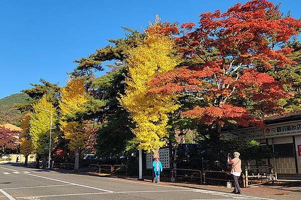 秋日紅葉季抱返溪谷健行