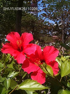 20110206_2.jpg