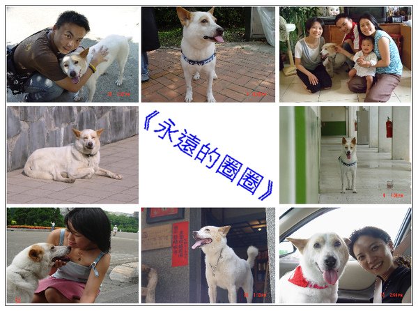 給圈仔寶
