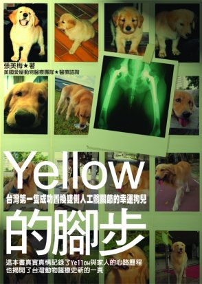 yellow的腳步