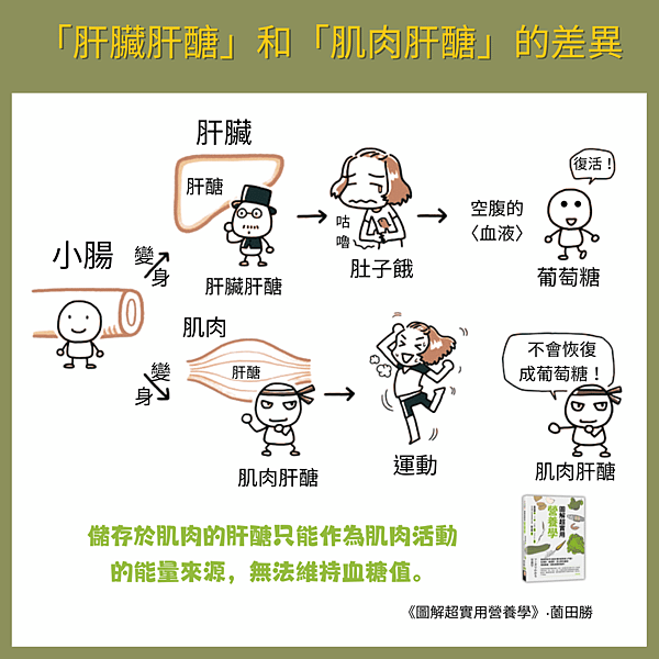 營養學3.png