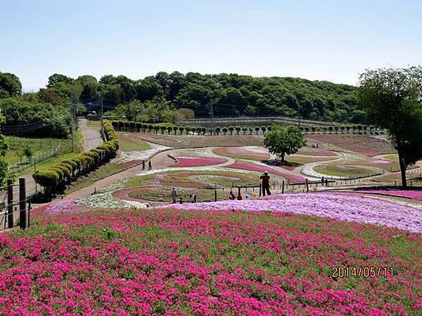 0群馬花卉公園].JPG