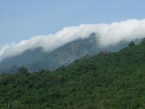 tn_DSCF2284.JPG