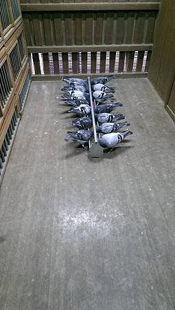 IMAG0010.jpg