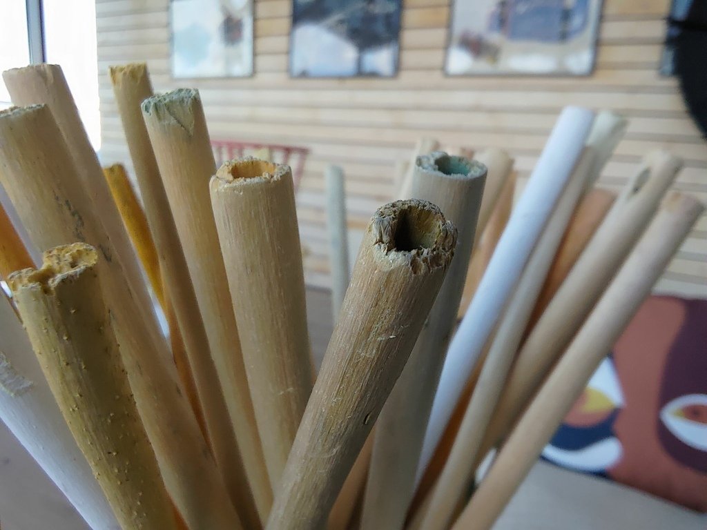macro_1.jpg