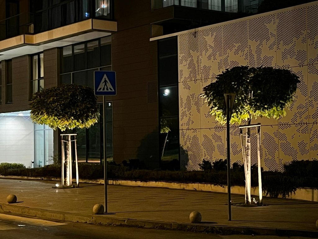 pic_6.jpg