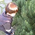 IMG_0058.JPG