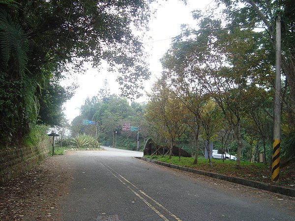 DSC00797.JPG