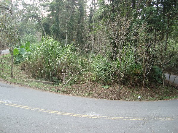 DSC00802.JPG