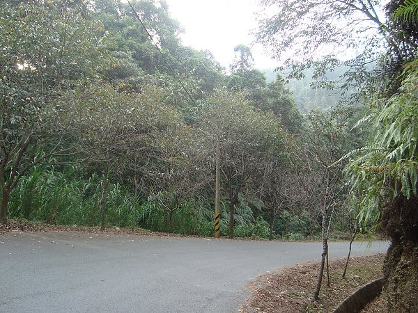 DSC00806.JPG