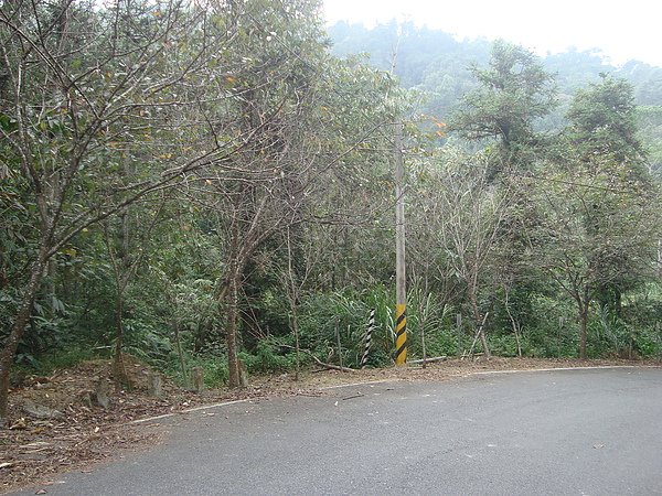 DSC00809.JPG
