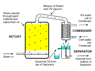 steam-distillation.gif