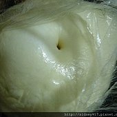 第一次發酵完成