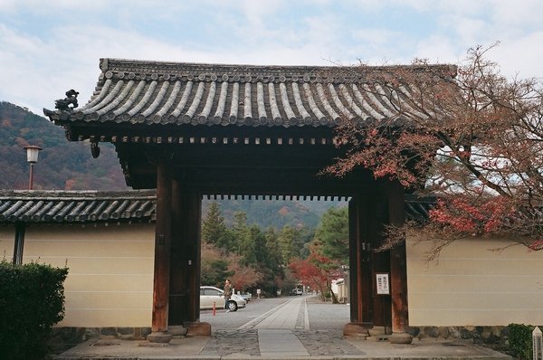 14320005.JPG