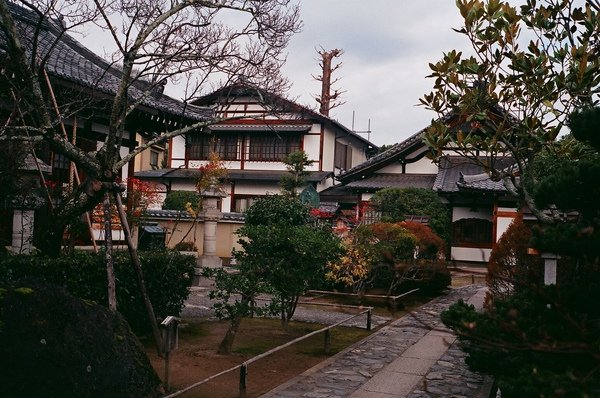 14320008.JPG