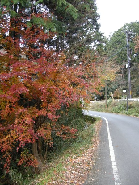 DSCN6548.JPG