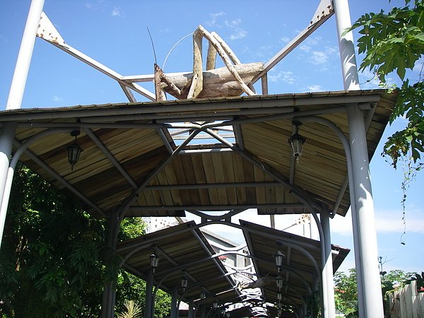 IMGP0460.JPG