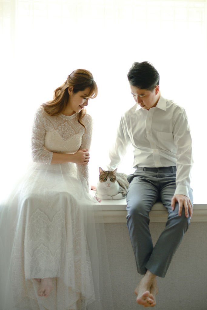琪琪小姐 貓咪 輕婚紗