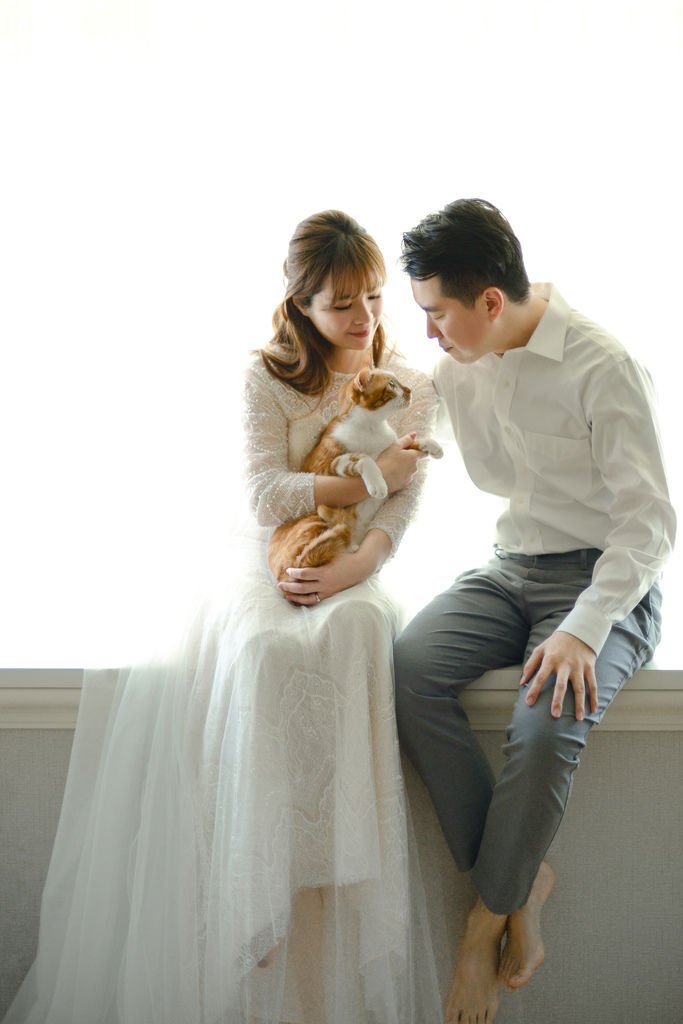 琪琪小姐 貓咪 輕婚紗