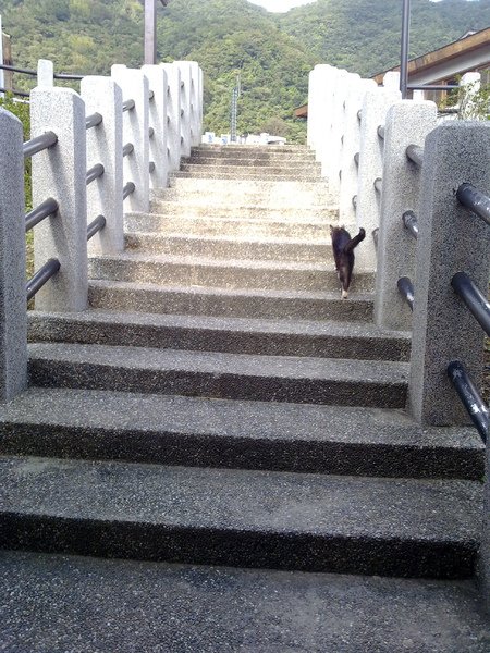 20101219241.jpg