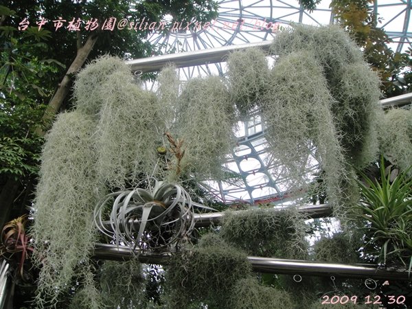 台中植物園  20091230 161037