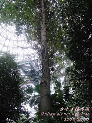 台中植物園  20091230 161845