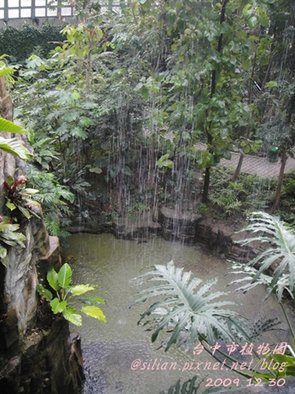 台中植物園  20091230 162159