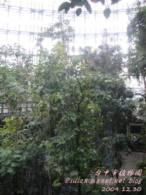 台中植物園  20091230 162202