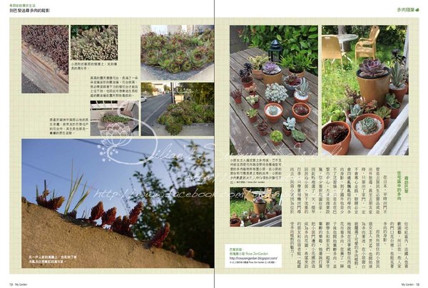 201308 花草遊戲第69期希莉安多肉專欄 Page 17 18