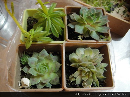 2011/4/30 大創購回