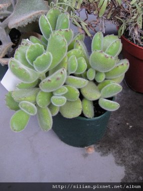 2010/7/10