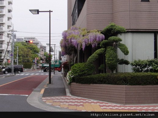 2011/4/30 去大創的路上