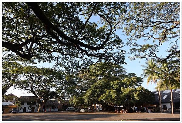 紅茶之國：斯里蘭卡之旅D12 Lunuganga