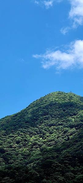 九份。山城