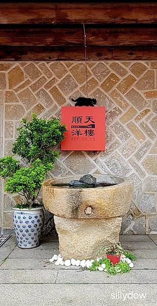 尋獅後的大驚喜